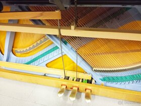 Schimmel mod.108-Dovoz do 100km zdarma 24/7 - 10