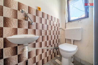 Prodej rodinného domu 391 m2, v Dnešicích - 10