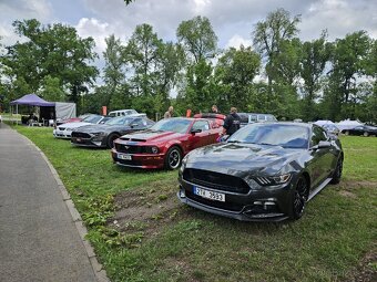 Mustang GT 2016, 89 tis. km, manuál, performance, USA - 10