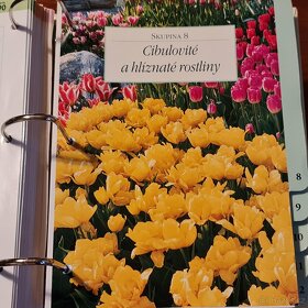 ZAHRADA PRO RADOST - 10