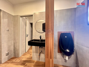 Prodej restaurace, 258 m2, Hukvaldy - 10
