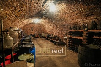 Prodej vinného sklepa 140 m², Velké Hostěrádky - 10