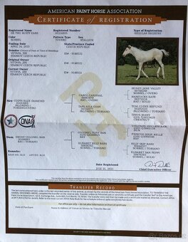 Hřebeček APH 2025 - 10