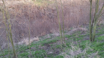 Zahrada, rokle, pozemek k rekeraci,10.731m2, Bechlín u RCE - 10