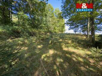 Prodej lesa, 1.757 m², Podhrad, Cheb - 10