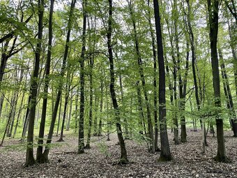 Prodej, pozemek, 950 m, , Brno - Medlánky, Česko - 10