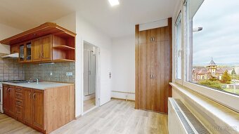 Prodej bytu 2+1 64 m² Javorník. - 10