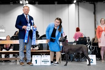 Peruansky naháč s PP - 10