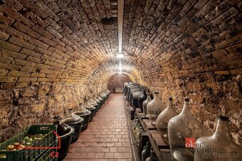 Prodej, domy/rodinný, 101 m2, Úvaly E18, 69142 Valtice, Břec - 10