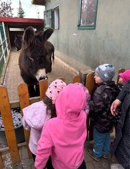 OSEL OSLÍK OSLÍČEK - 10