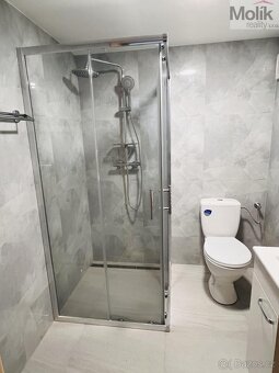 Pronájem bytu 1+kk 38 m2 - 10