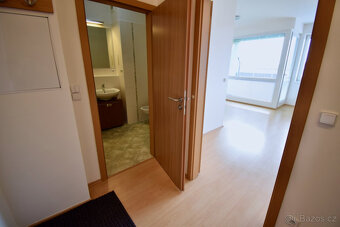 Pronájem bytu 1+kk, Hvozdecká, Bystrc, 14 000 Kč/měs, 39 m2 - 10