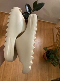 Adidas Yeezy slide Bone - 10