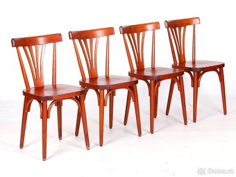 Masivní bukové židle do restaurace, 100 ks - 10