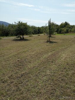 PRODEJ KOMERČNÍHO ZEMĚDĚLSKÉHO OBJEKTU SE ZAHRADOU - 10