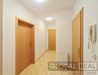 Pronájem prostorného bytu 1+kk (48 m2) v Lukách nad Jihlavou - 10