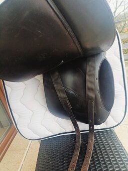 Prestige Hippos 17,5 /2 - 10