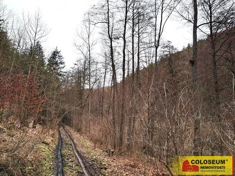 Letovice, lesní pozemky, 12 020 m2 – pozemek - 10