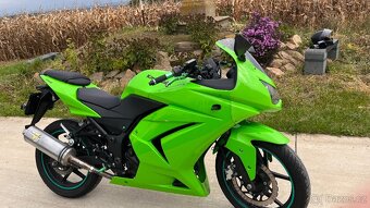 Kawasaki ninja 250r - 10