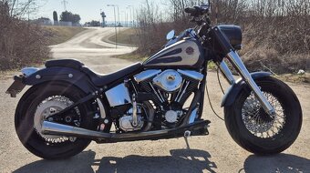 Harley-Davidson Evo - 10