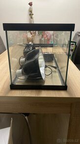 Terárium 78x32x34 - 10