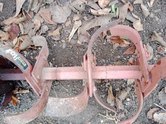 VAri -Tera-Honda - 10