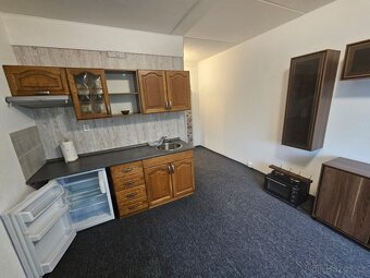 Pronájem bytu 1+kk • 20 m² Nejdek - 10
