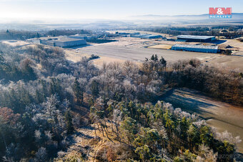 Prodej lesa, 685 m², Horšovský Týn - 10