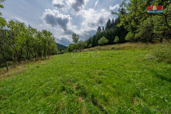 Prodej louky, 1784 m², Halenkov - 10