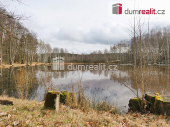 Prodej, Pomezní rybník 3974 m² - 10