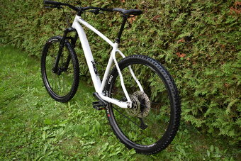 Rockrider AM 100 Hardtail XL - 10