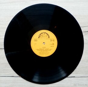 Československé dlouhohrající gramofonové desky, 8 kusů - 10
