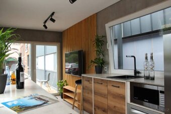 Přívěs Tiny House Panorama 3500kg - 10
