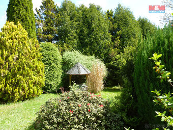 Prodej zahrady, 5538 m², okres Náchod - 10