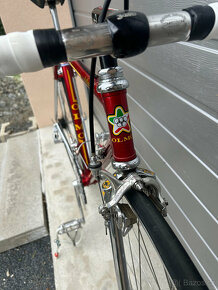 Olmo la Biciclissima - 10