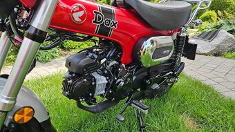 Honda DAX 125 2024 - 10