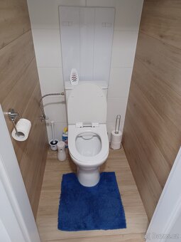 Pronájem zrekonstruovaného bytu 3+1 (76 m²) s balkonem - 10