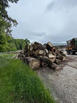 Prodej štípaného dřeva nebo kulatina na topení - 10
