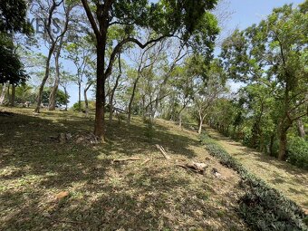 Lot 3 Bodden Bight Estate Jonesville, Roatan - 10
