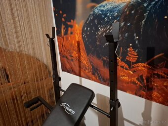 Posilovací věž + kotouče - 10