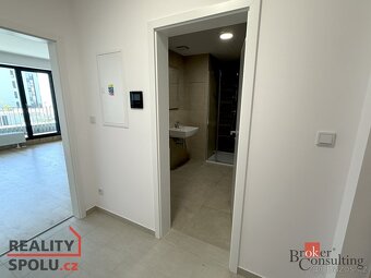 Pronájem, byty/1+kk, 47 m2, Železná, Jižní Předměstí, Plzeň - 10