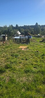 Zahrada 975 m² - 10