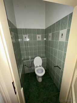3+1 v Šanově se zahradou - 10