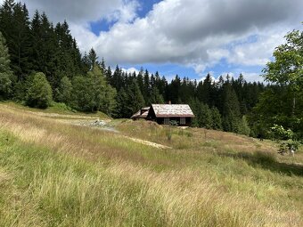 Prodej, pozemek, 70 000 m, 99, Staré Hamry, Česko - 10