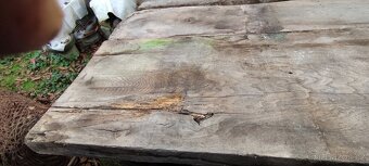 Dubové fošny 80 až 100 let staré - 10