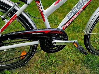 Detske hlinikove kolo Pegasus 24 - 10