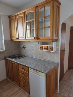 ZACHOVALÁ MASIVNÍ LOŽNICE BOROVICE - 10