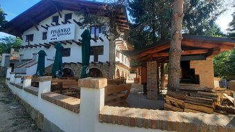 Prodej, pozemkem CP 478 m2 s chatou, Ivančice - 10