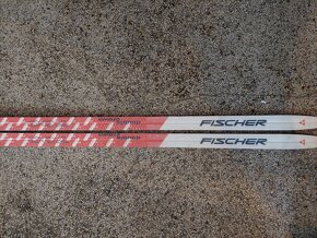 Běžky Fischer – 190 cm – se šupinami – Fibre XC Crown - 10