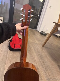 Prodám - kytara - 10